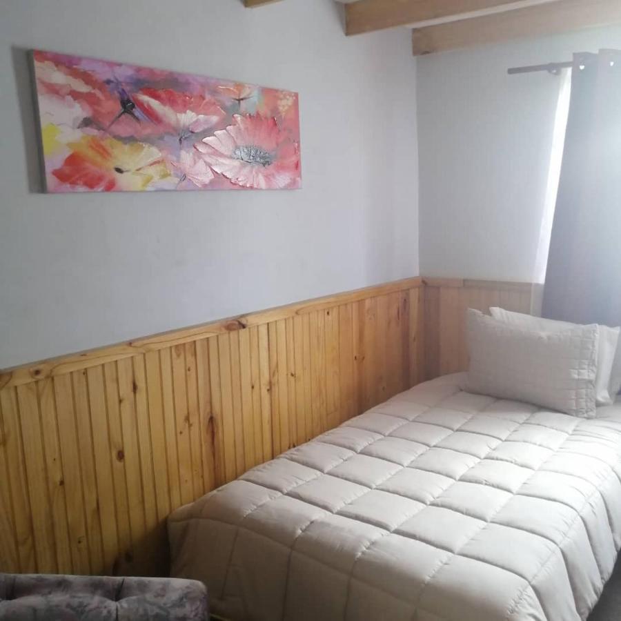 Hostal Y Cabanas Vientos Del Sur Puerto Ingeniero Ibanez Eksteriør billede