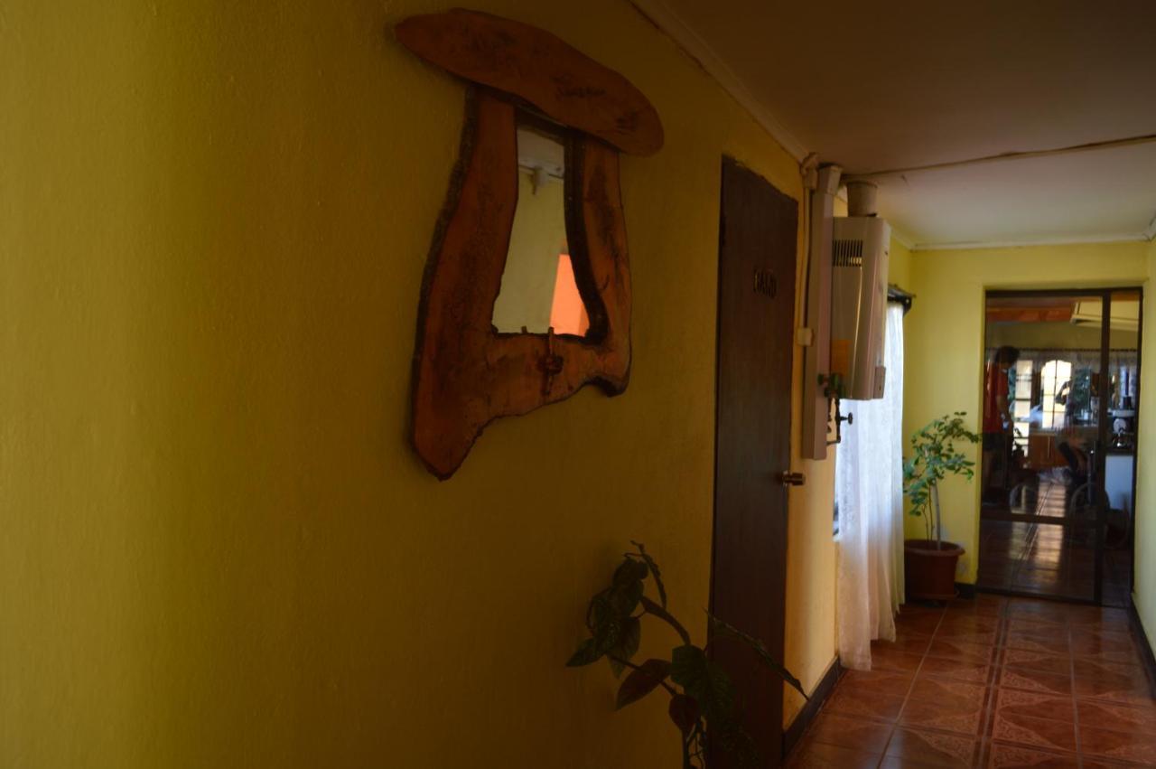 Hostal Y Cabanas Vientos Del Sur Puerto Ingeniero Ibanez Eksteriør billede